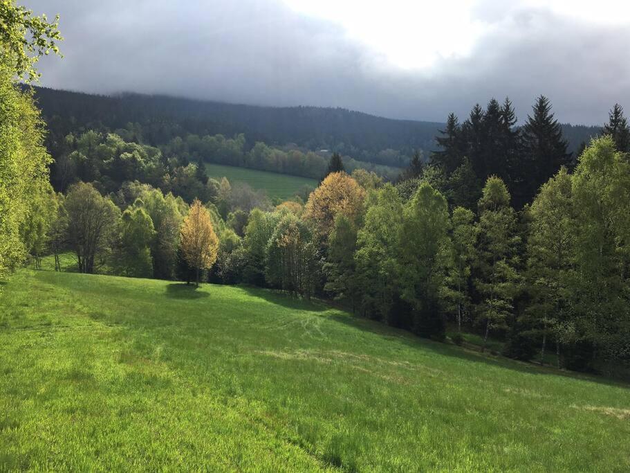Apartman Boruvka Zelezna Ruda Bagian luar foto