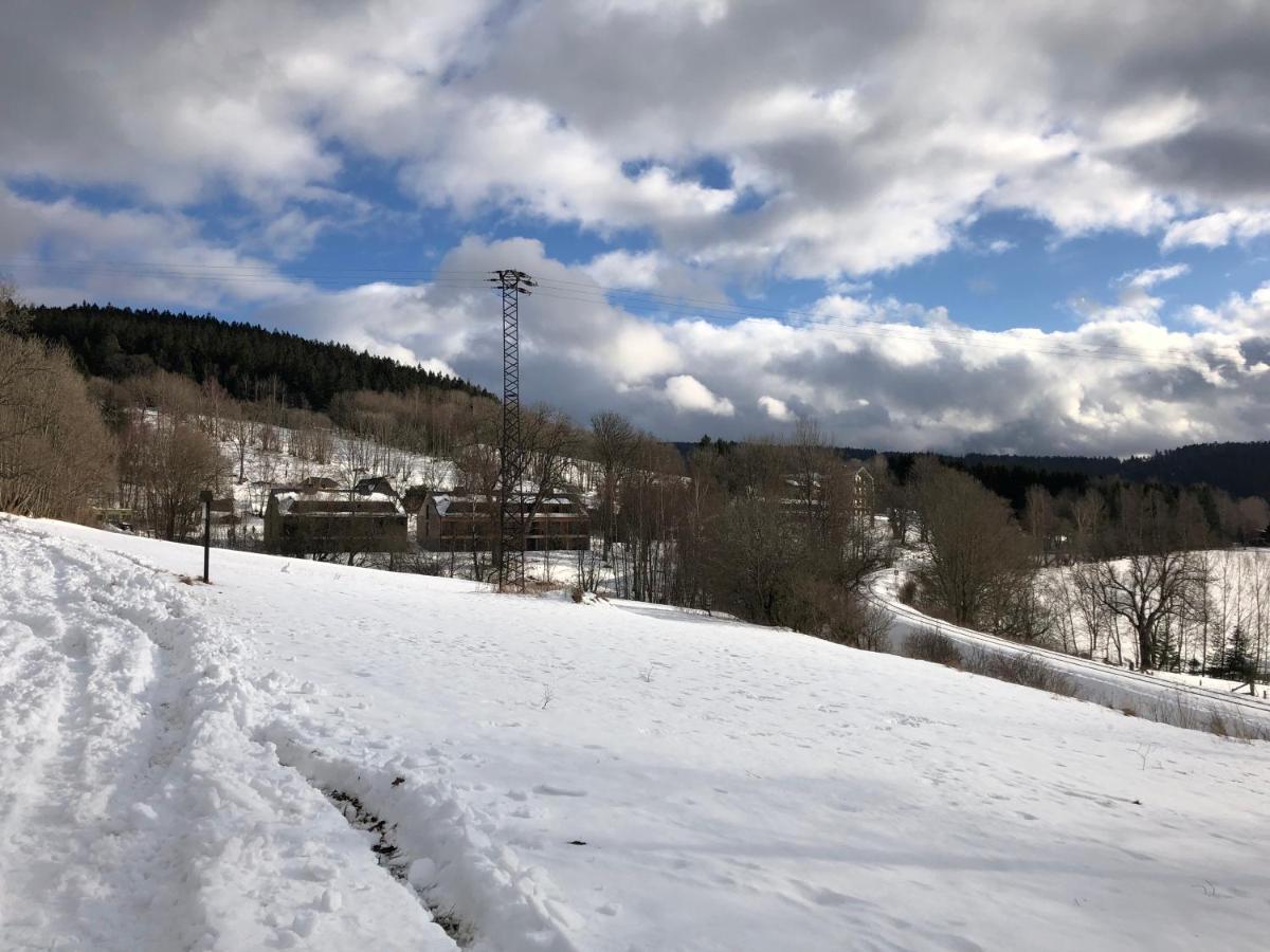 Apartman Boruvka Zelezna Ruda Bagian luar foto
