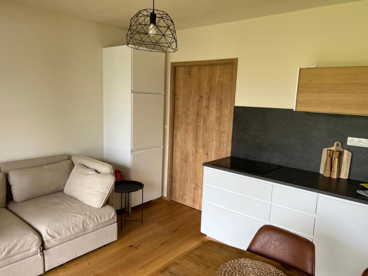 Apartman Boruvka Zelezna Ruda Bagian luar foto