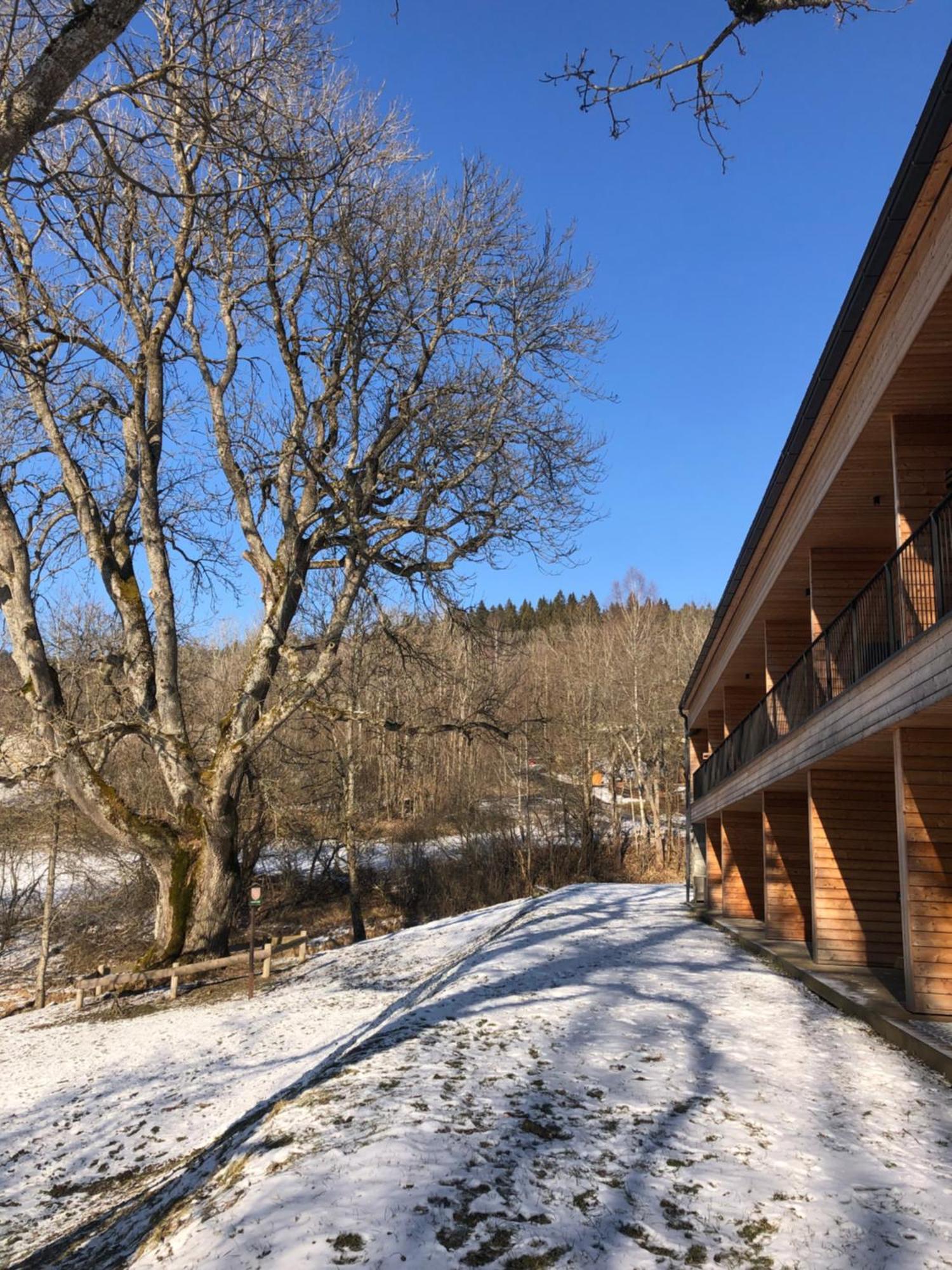 Apartman Boruvka Zelezna Ruda Bagian luar foto